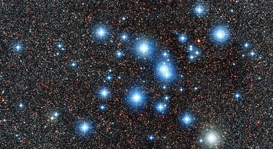 The_star_cluster- 1