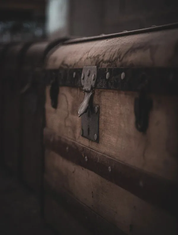 WhatsApp Image 2024-01-01 at 15.17.18