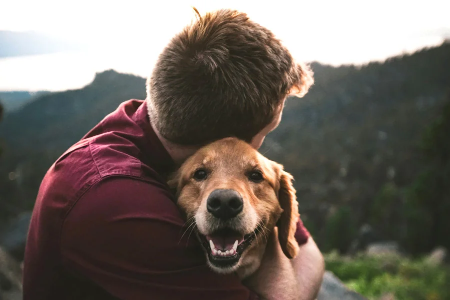 Seis de cada 10 argentinos eligen alojamientos “pet friendly” (1)