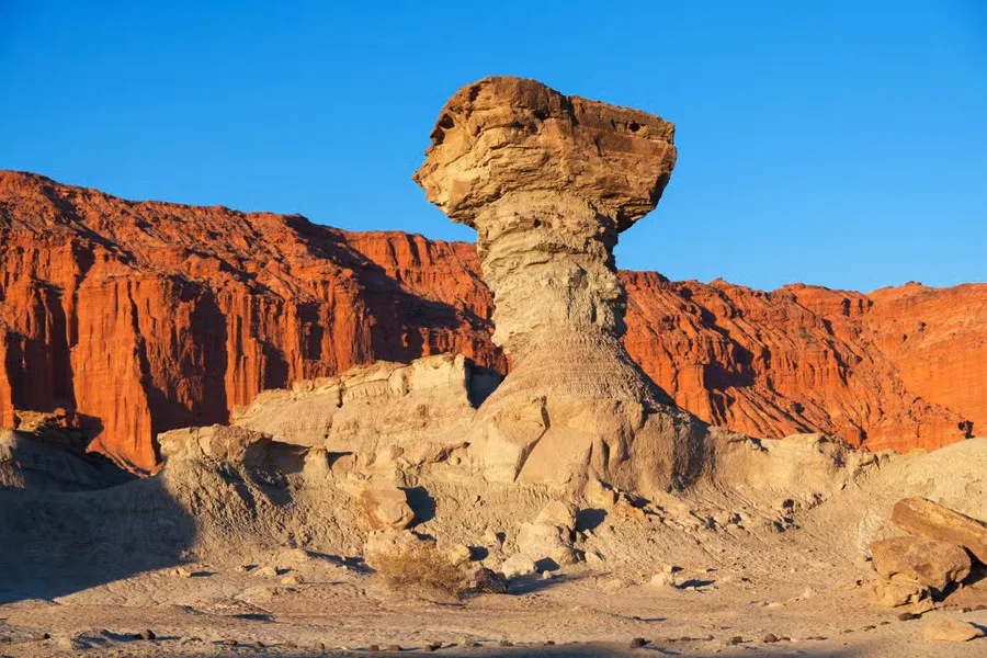rocas-parque-provincial-ischigualasto (1)