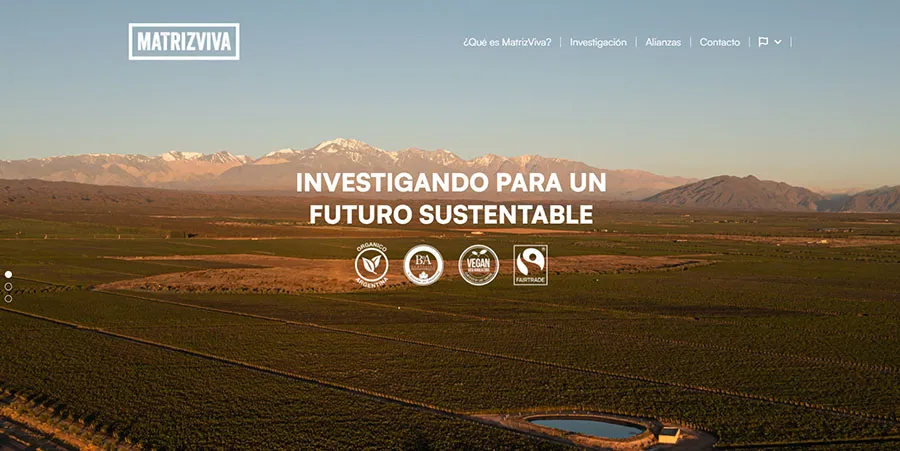 Portada Sitio Web MV