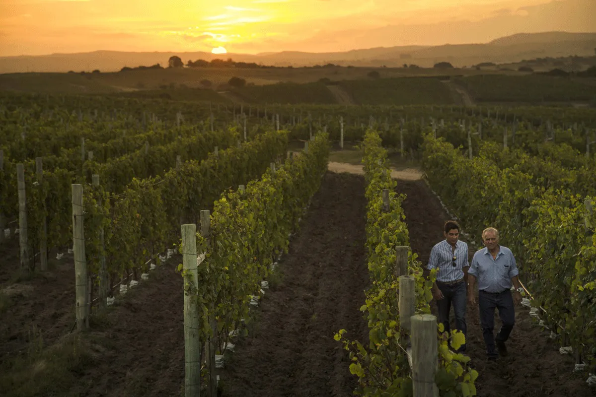 WhatsApp Image 2025-11-05 at 23.37.05