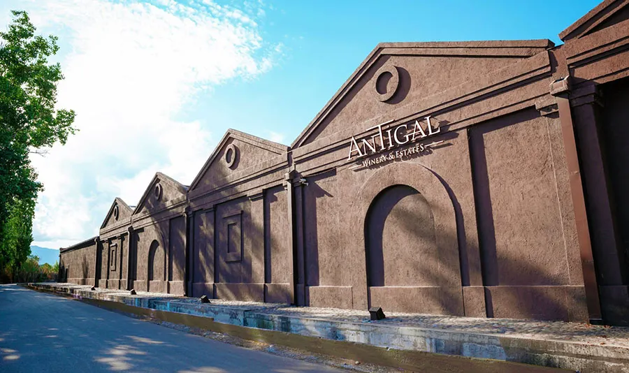 bodega antigal