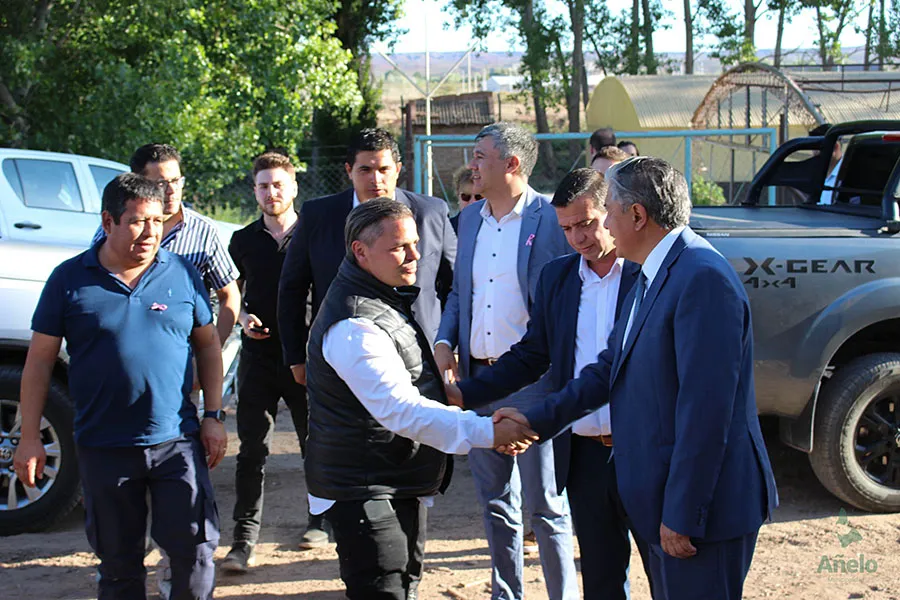 WhatsApp Image 2024-10-22 at 9.37.14 PM