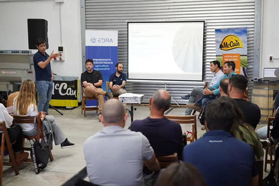 Mc cain y arcos dorados