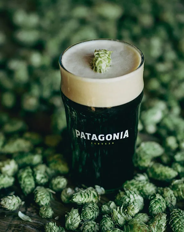 Black IPA, Cerveza Patagonia 3