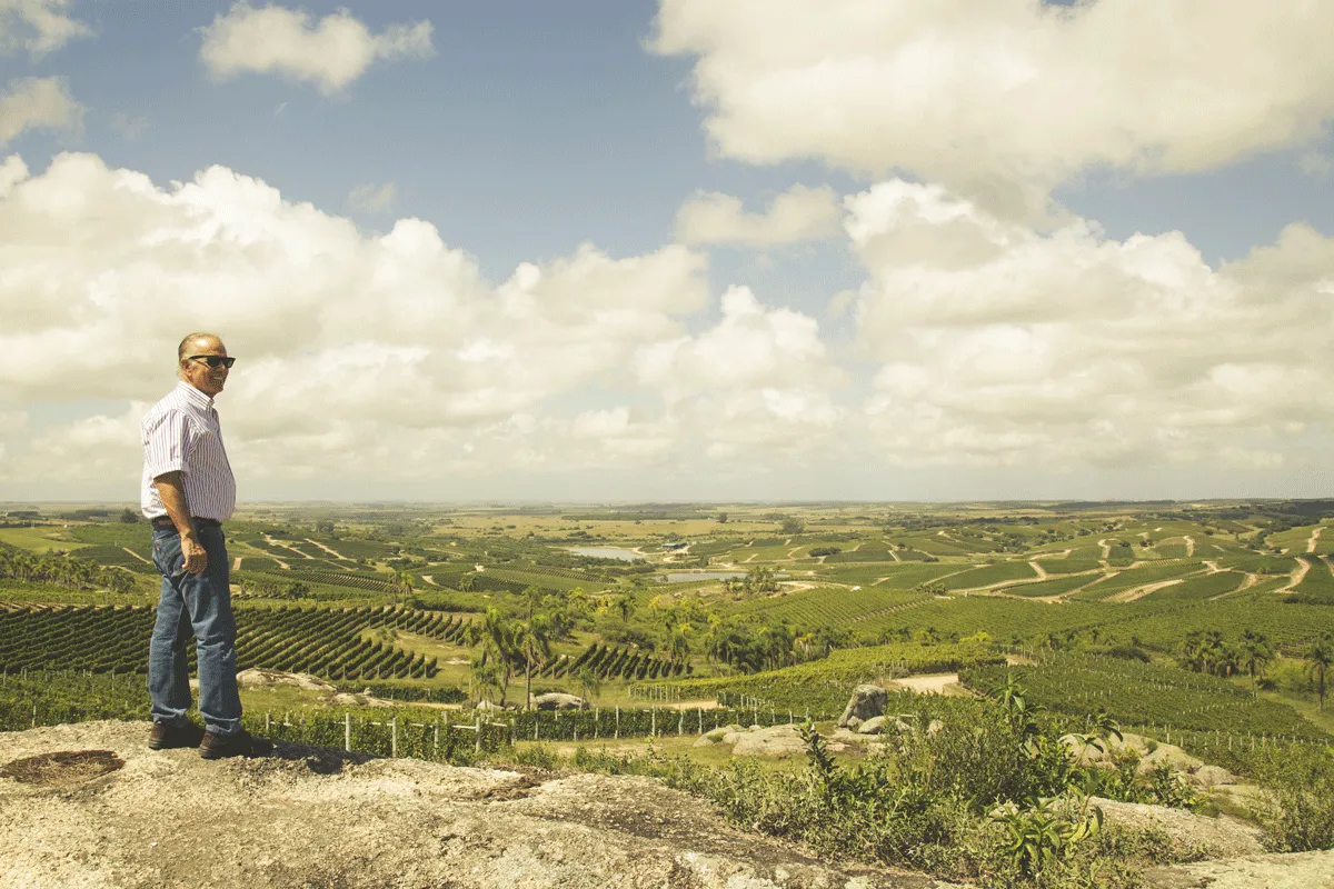 EWP2015_bodega_garzon-1904