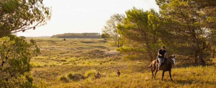 Chacras-Maritimas-El-Salvaje-669x272 copia