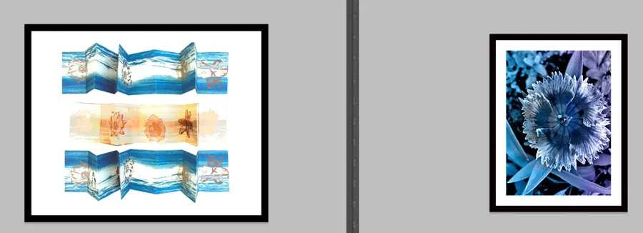 Imagen de WhatsApp 2025-05-14 a las 15.22.42_022a6b89