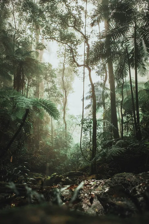 justin-clark-H7JiEU8Slnw-unsplash