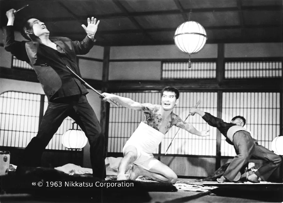 El vagabundo de Kanto_The Kanto Wanderer copia copia