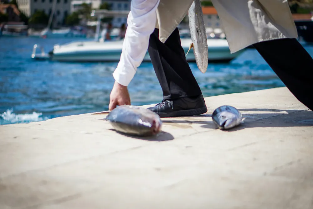 aiva-apsite-7_lqy82i-n8-unsplash