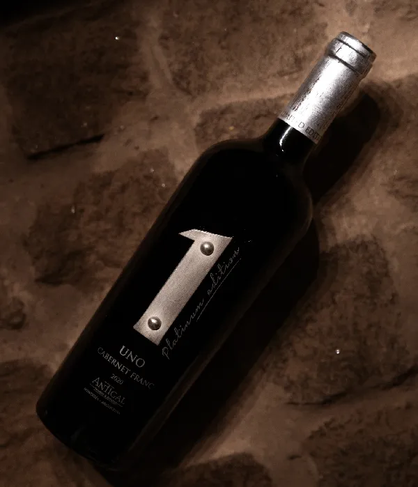 Uno-Platinum copia copia