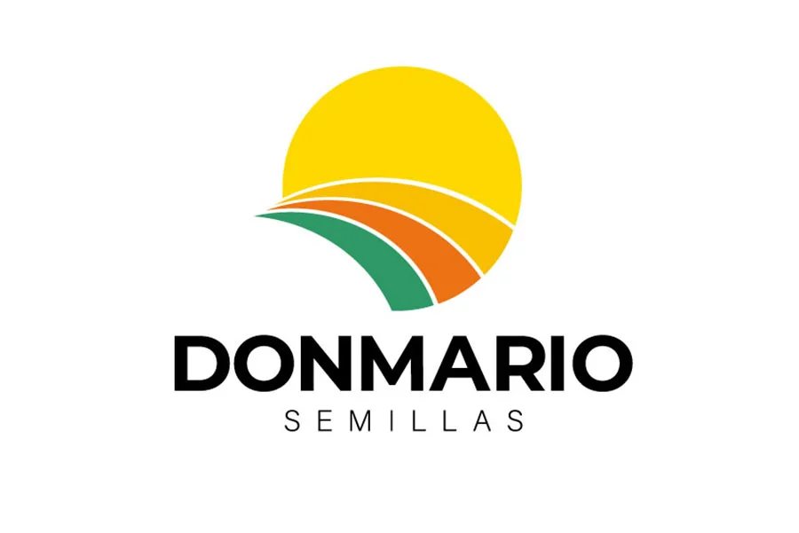 Don Mario copia