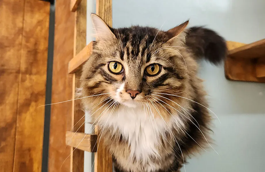 20221230_130004-1536x2048