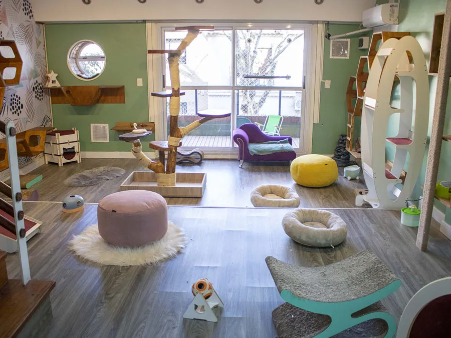 WhatsApp Image 2024-09-23 at 13.56.00 (2)