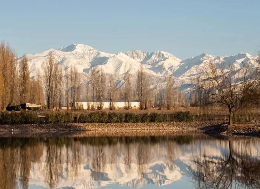 WhatsApp Image 2025-02-16 at 02.03.40