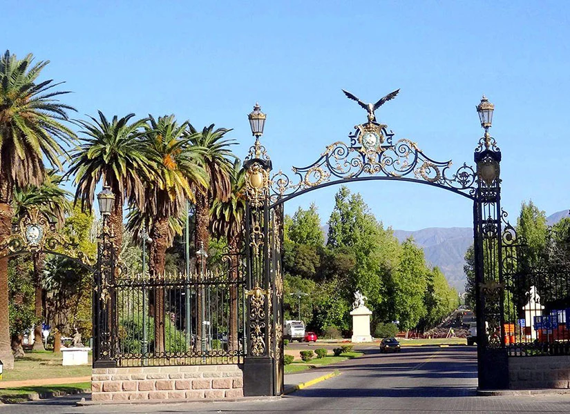 WhatsApp Image 2026-02-12 at 18.16.45 (2)