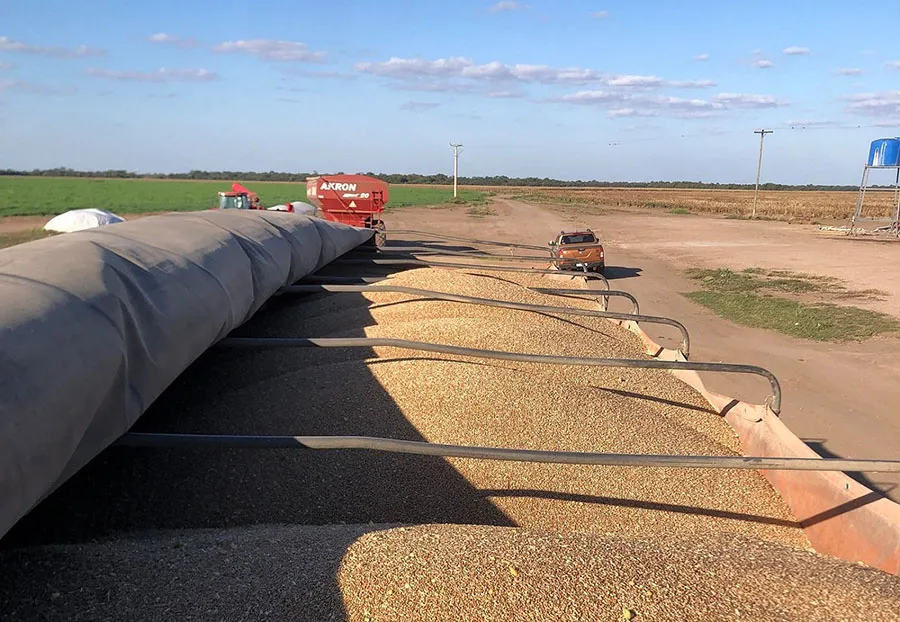 Carga Camion Trigo Organico-Cordoba 2023