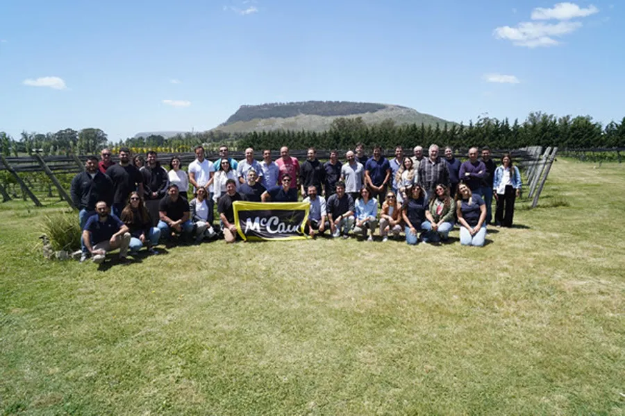 Mc cain y arcos dorados (2)