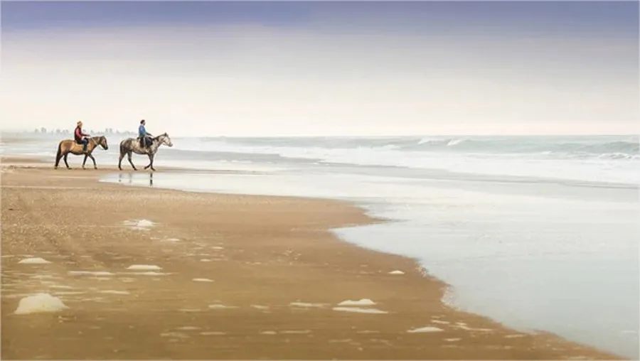 chacra1.jpg-600×338-Opera (1)