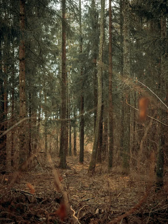 neil-macc-bRe6t_gWmwY-unsplash