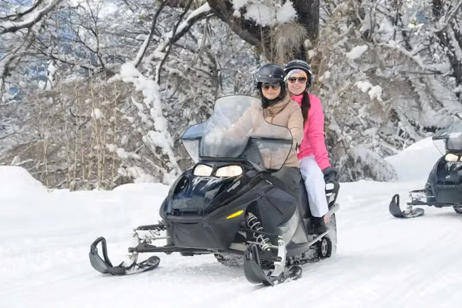 nevados-arboles-catedral
