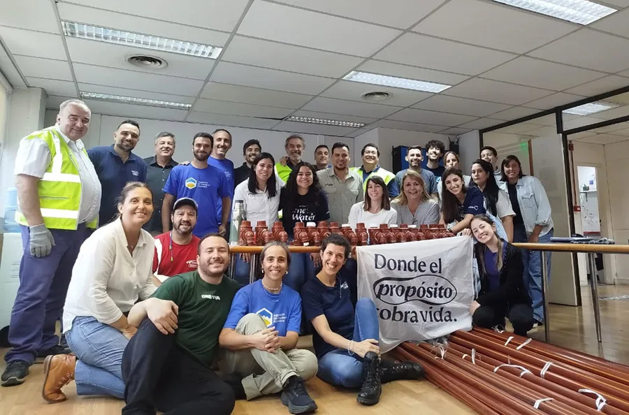 voluntariado Grupal 4