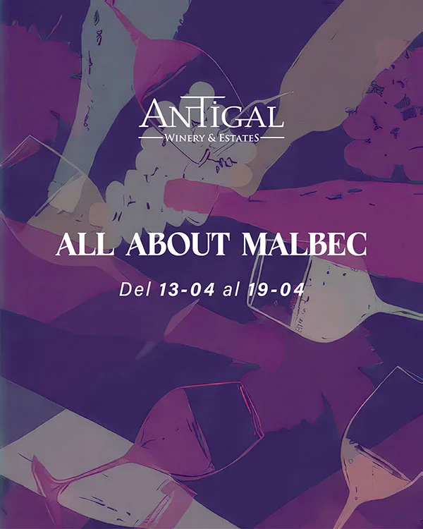 All About Malebc - Sorie y Feed-04.jpg