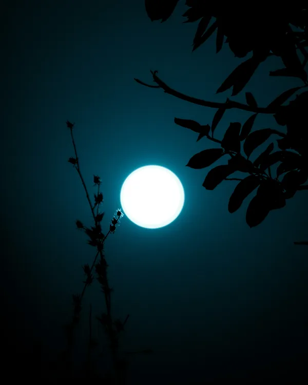 satyam-pathak-68WX3YDOtzY-unsplash