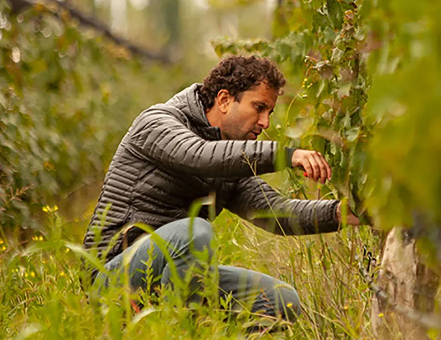 juan-pablo Murgia - Otronia