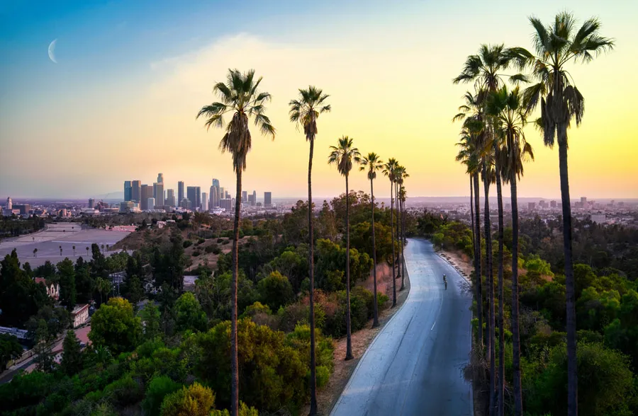 Los Angeles by venti-views-unsplash