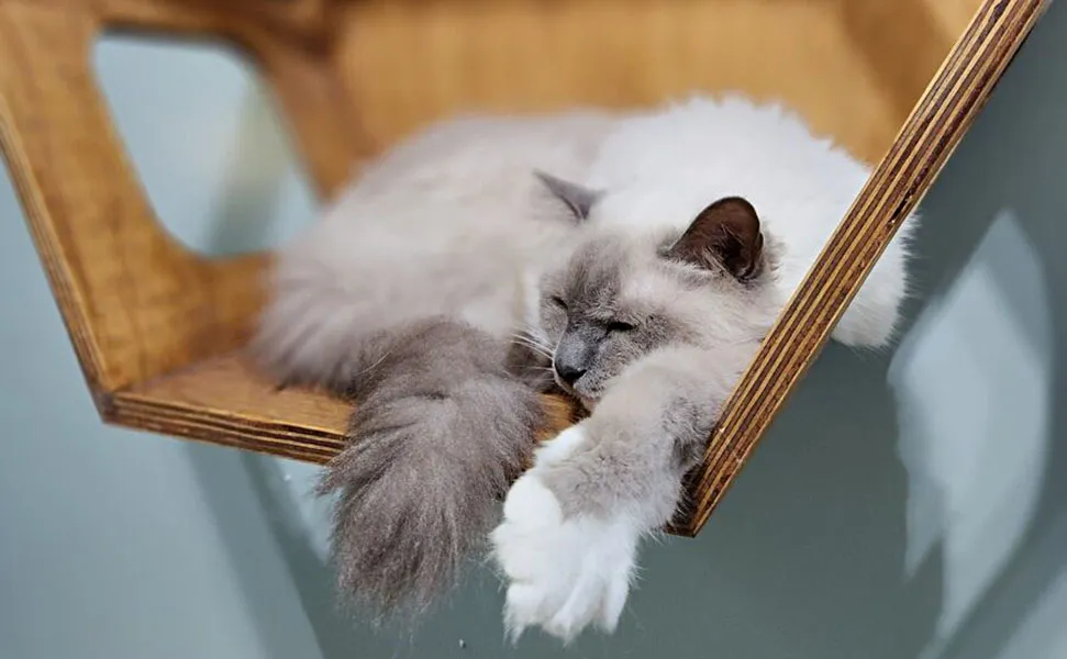 20230301_142749-rotated